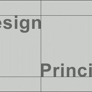Design Principles